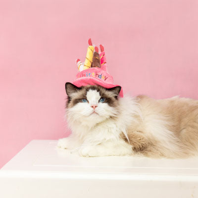 Birthday Pawty Hat (2 Colors)