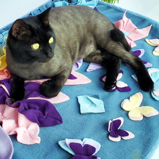 Snuffle Mat for Cats! #cats 