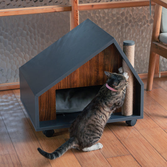 Contemporary Cat House On The Wheels