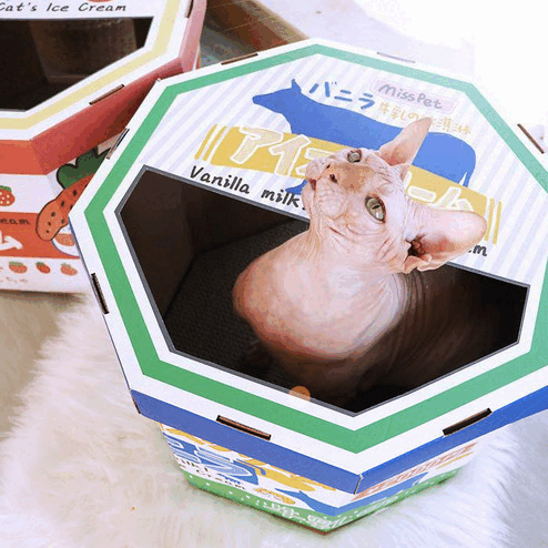 Ice-cream Tub Scratcher Box (by MISSPET)