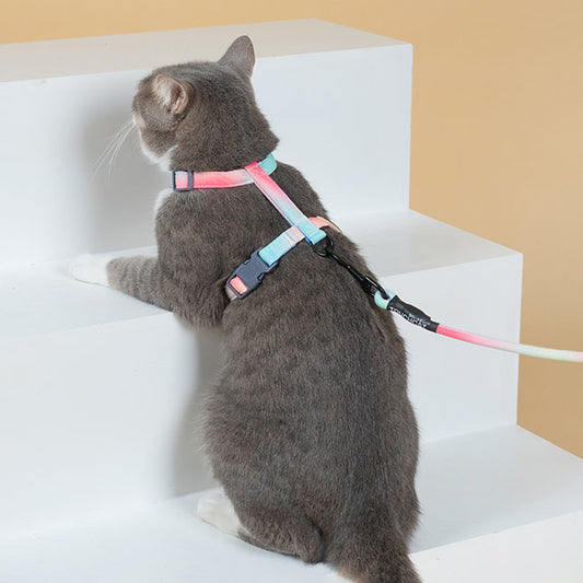 Ombré Cat Harness & Leash (by Touchcat)