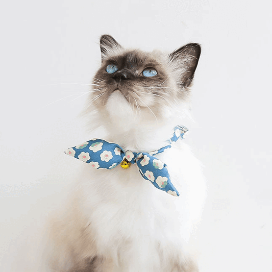 Vintage Bloom Ribbon Cat Collar