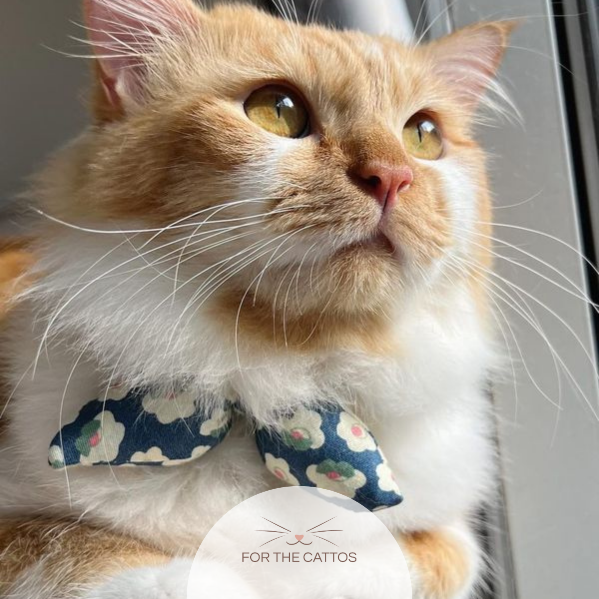 Vintage Bloom Ribbon Cat Collar