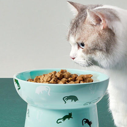 Meows PETKIT Ceramic Elevated Bowl